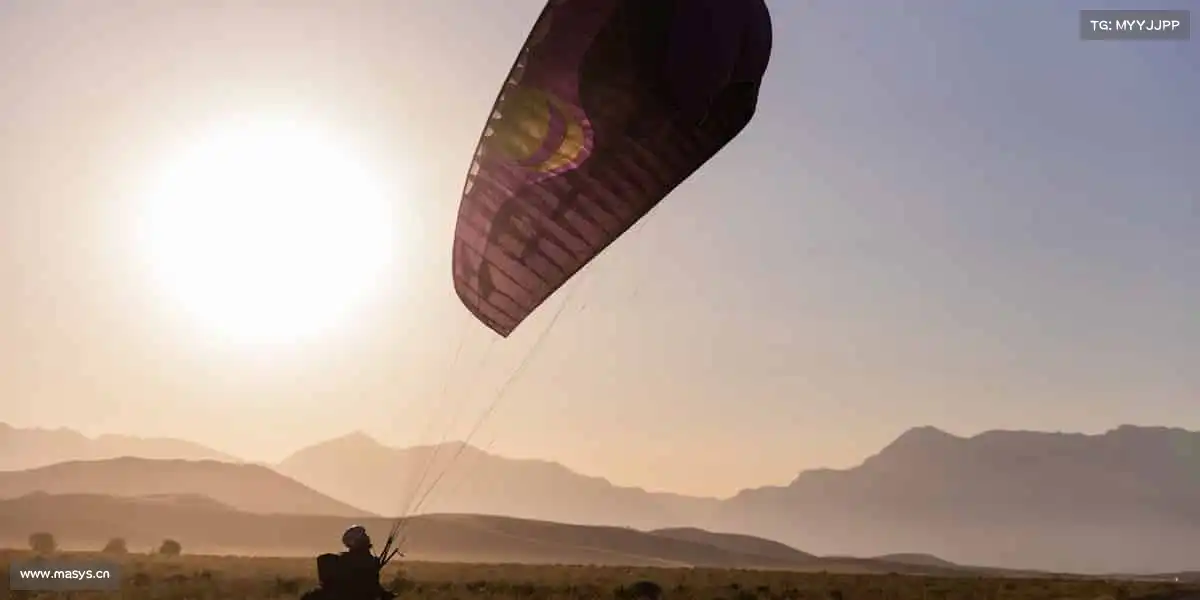 为什么选择我们